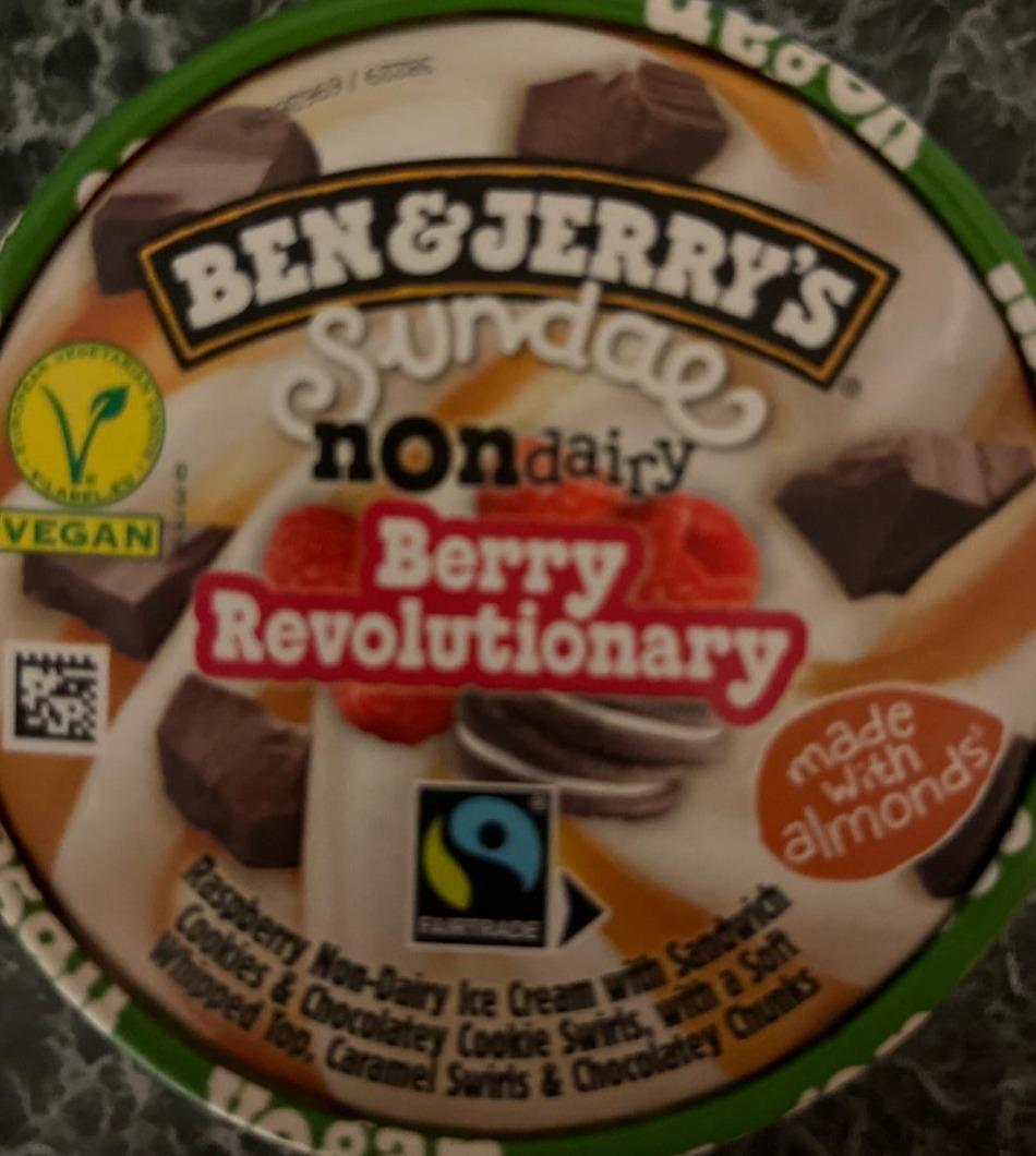 Fotografie - Sundae Non dairy Berry Revolutionary Ben & Jerry's