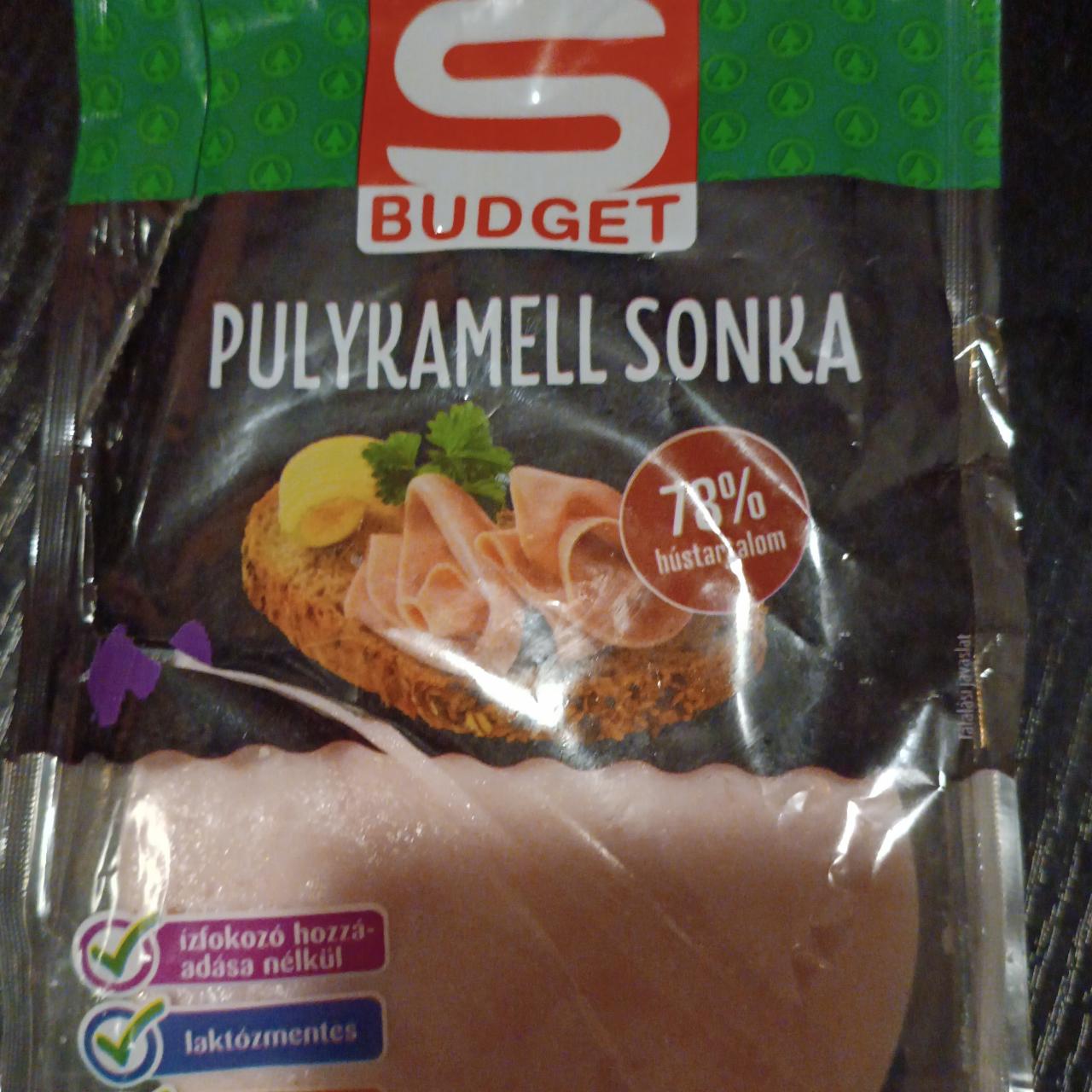 Fotografie - Pulykamell sonka S Budget