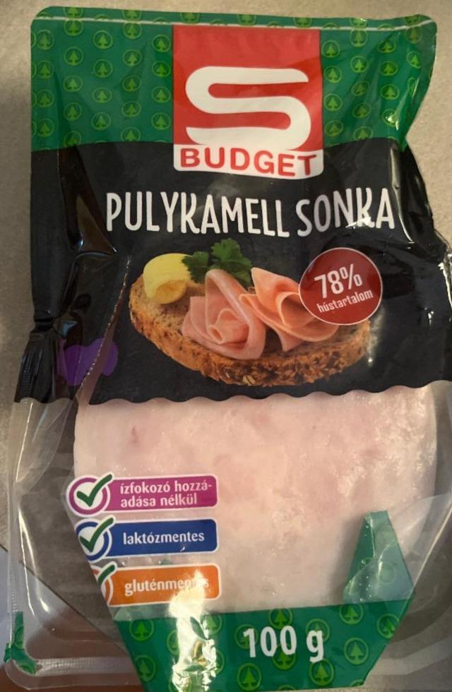 Fotografie - Pulykamell sonka S Budget