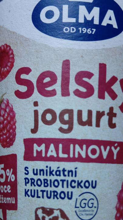 Fotografie - selský jogurt s bifi malinový Olma