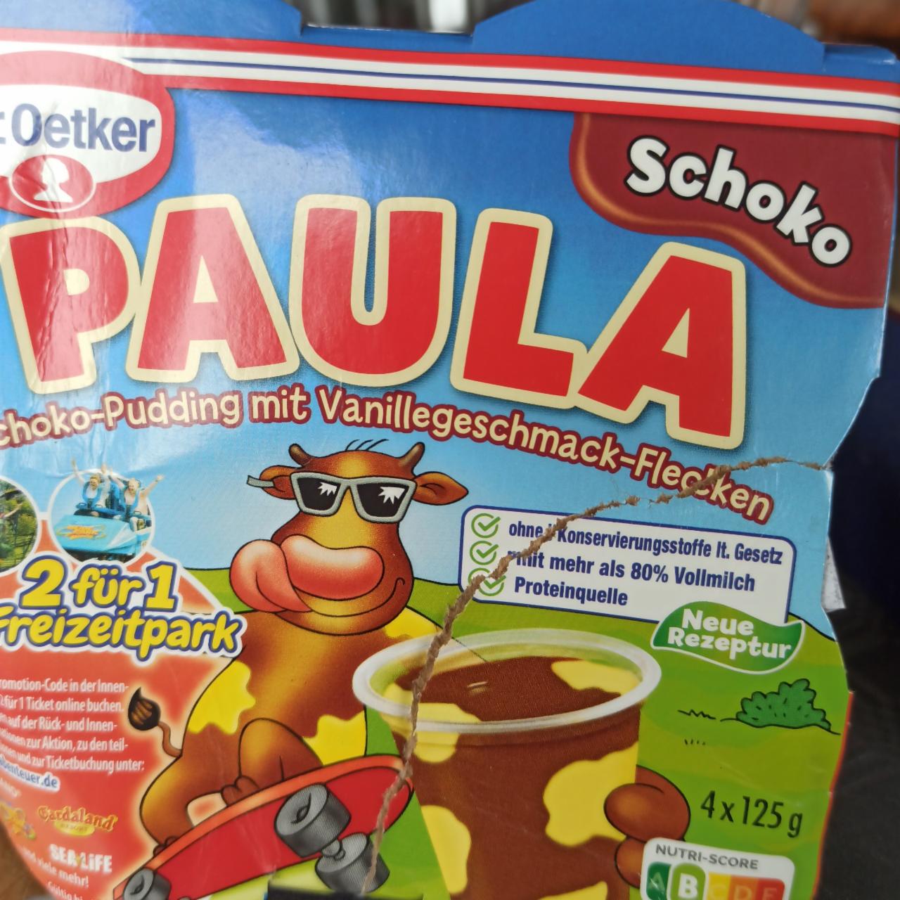 Fotografie - Paula puding čokoláda Dr.Oetker