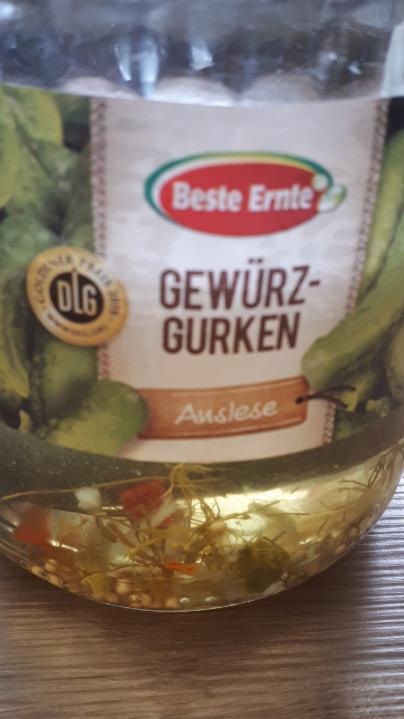 Fotografie - Gewürzgurken Beste Ernte