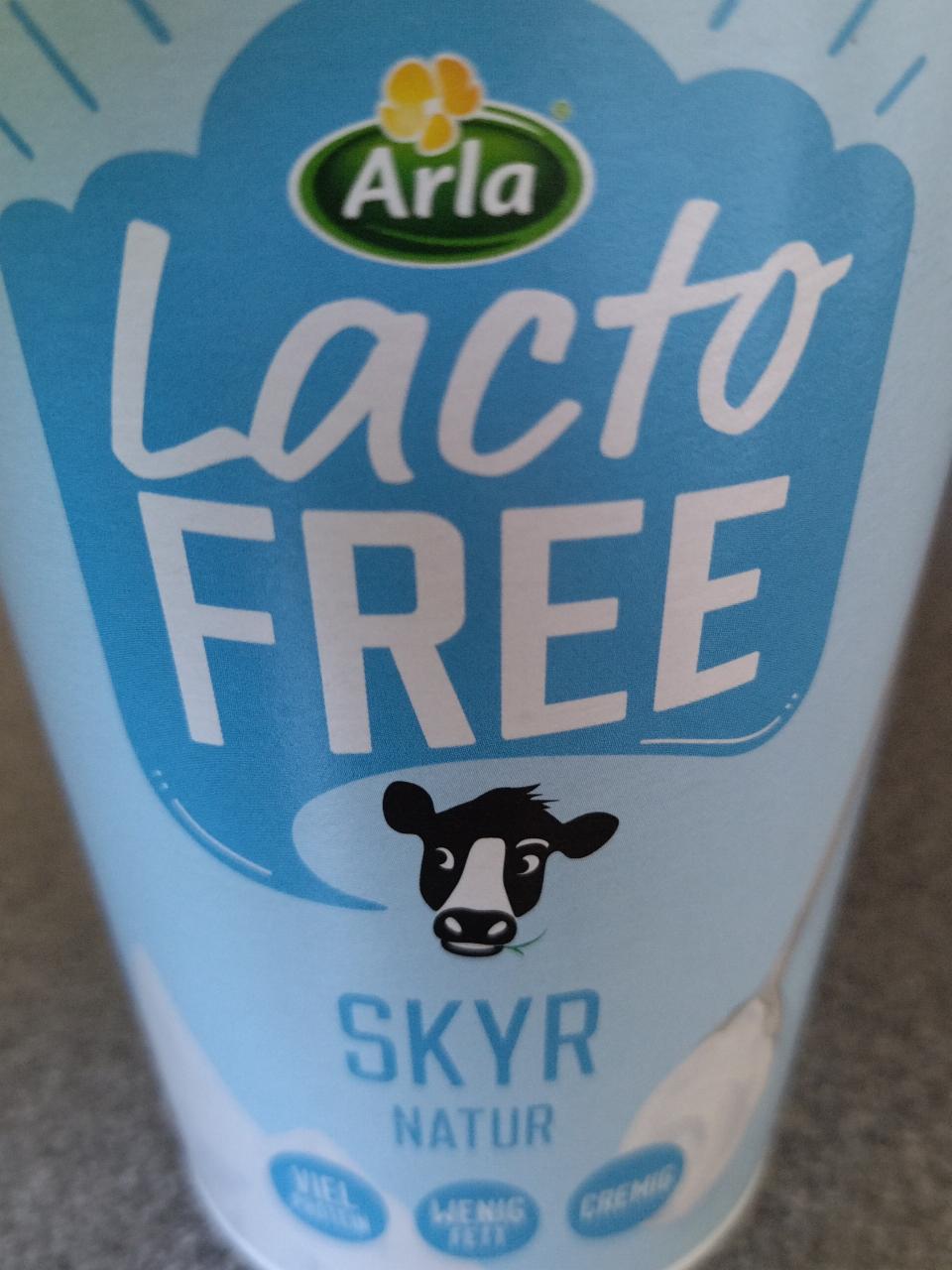 Fotografie - Skyr Natur Lacto free Arla