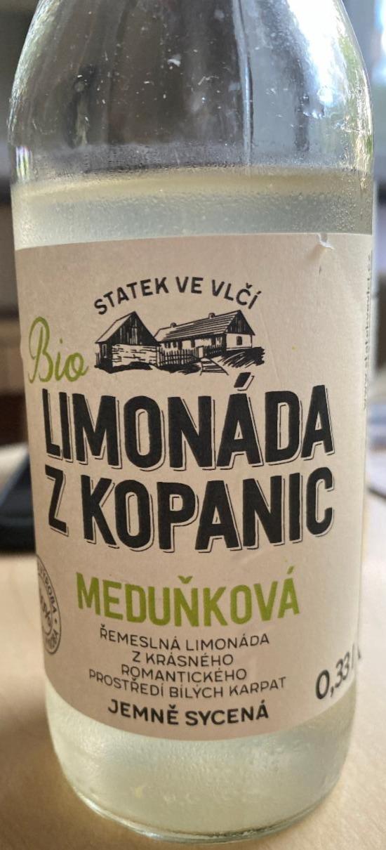 Fotografie - Limonáda z Kopanic Meduňková Statek ve Vlčí