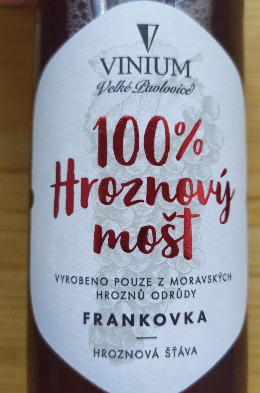 Fotografie - 100% Hroznový mošt Frankovka Vinium Velké Pavlovice