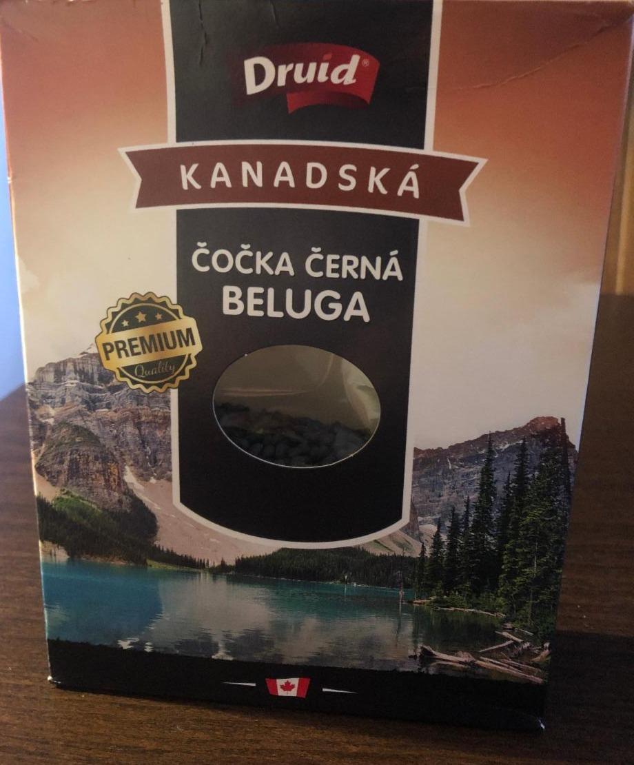 Fotografie - čočka černá BELUGA kanadská Druid