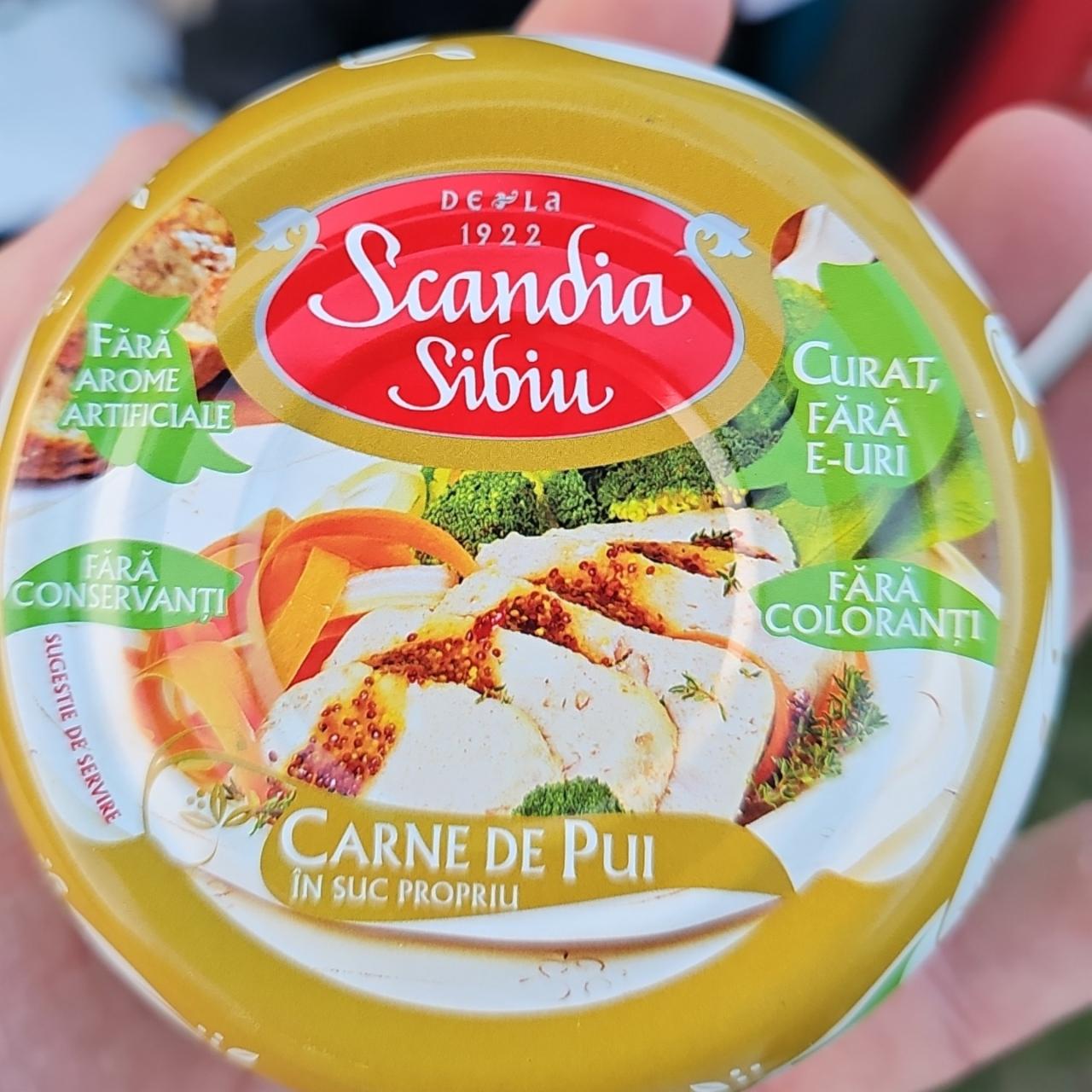 Fotografie - Carne de pui Scandia Sibiu