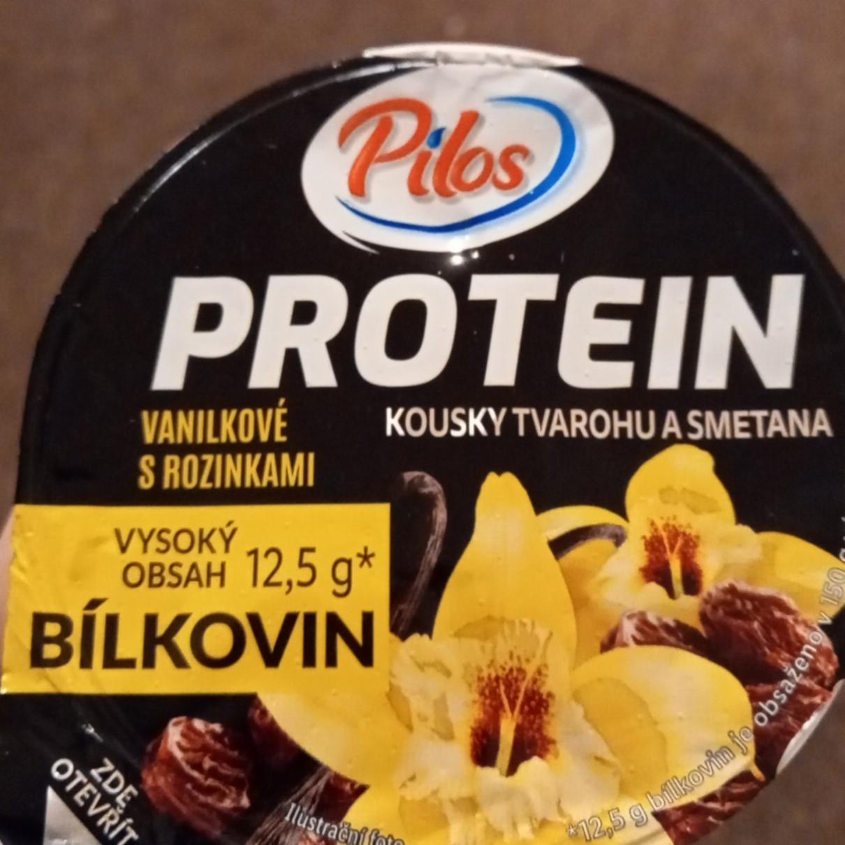 Fotografie - Protein kousky tvarohu a smetana vanilkové s rozinkami Pilos