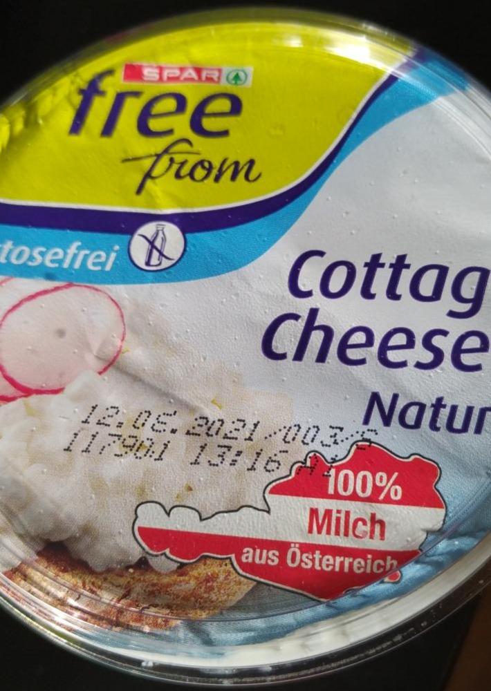 Fotografie - Cottage Cheese Natur laktosefrei Spar free from