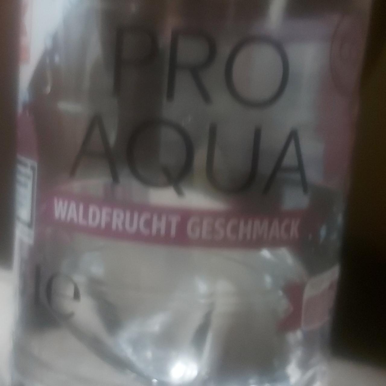 Fotografie - Pro Aqua Waldfrucht