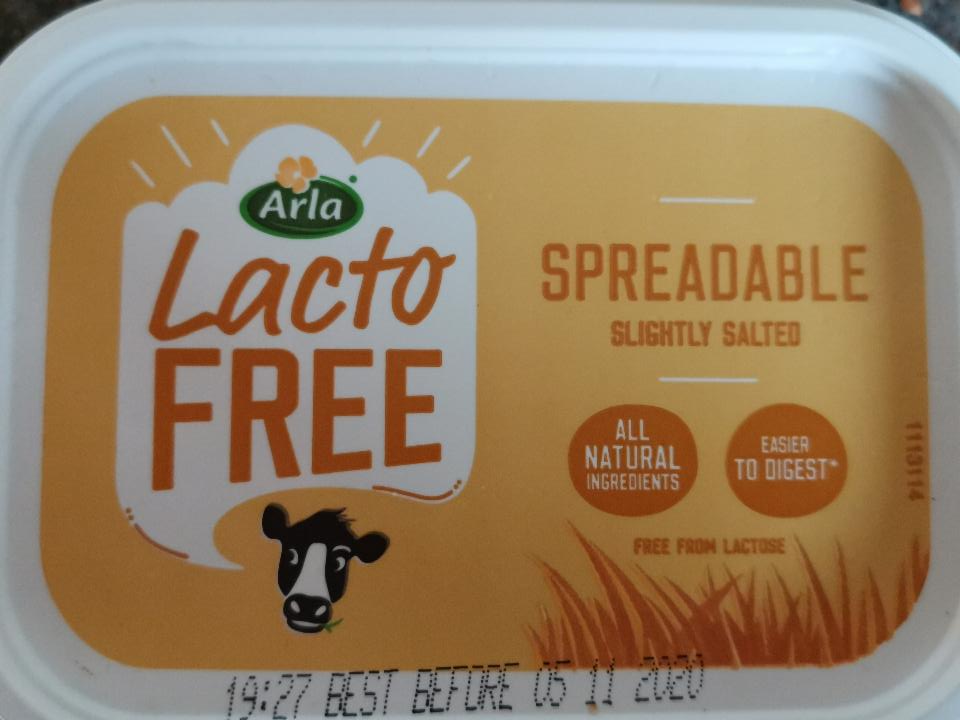 Fotografie - LactoFree Slightly Salted Spreadable Arla