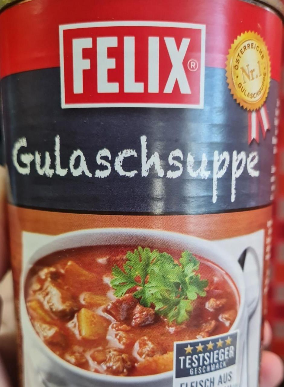 Fotografie - Gulaschsuppe Felix