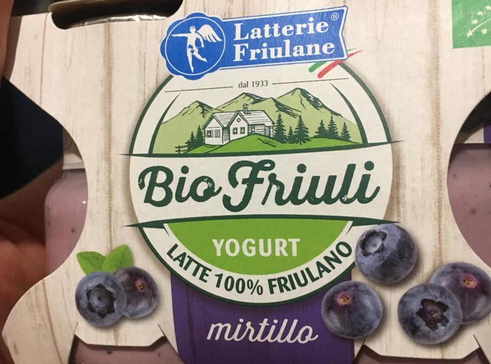 Fotografie - Bio Jogurt friuli borůvka