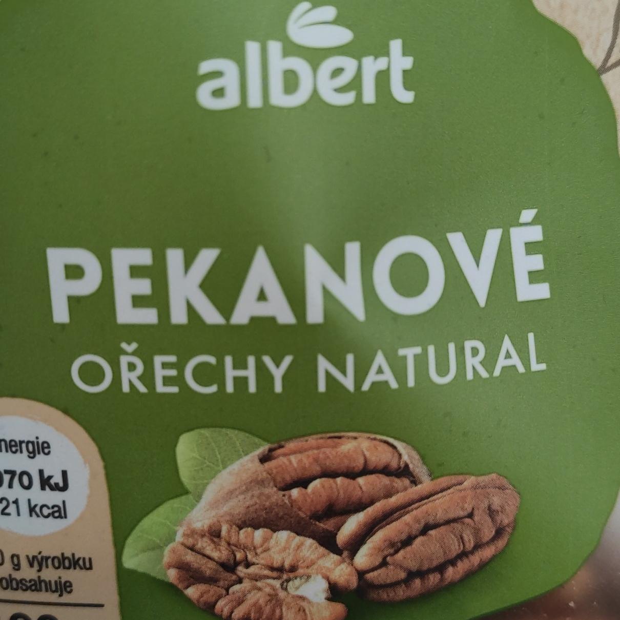 Fotografie - Pekanové ořechy natural Albert