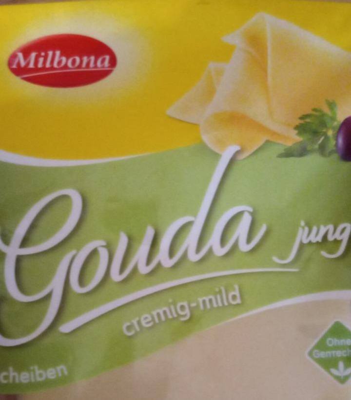 Fotografie - Gouda jung - cremig mild