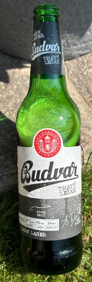 Fotografie - Budvar Tmavý Ležák