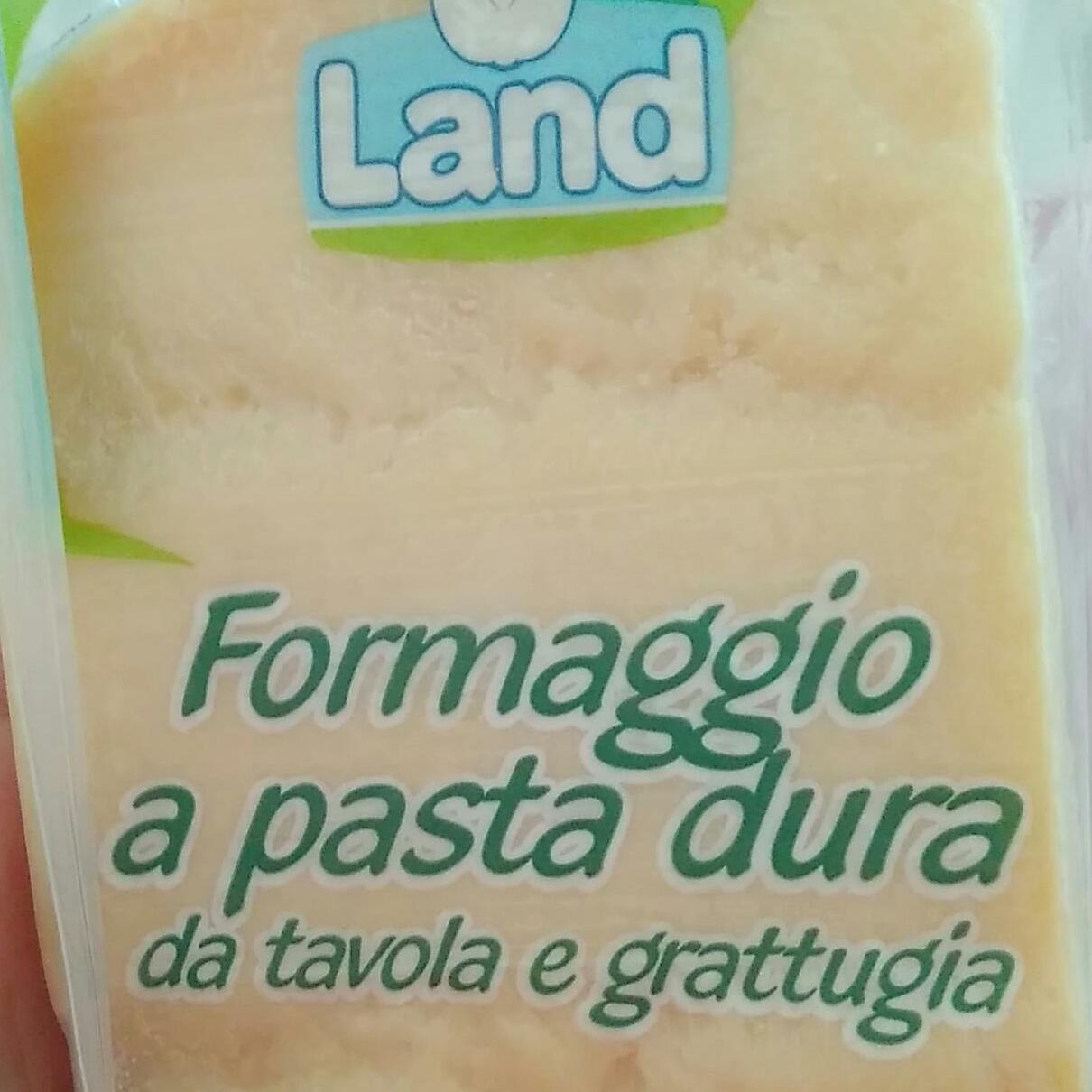 Fotografie - Formaggio a pasta dura Land