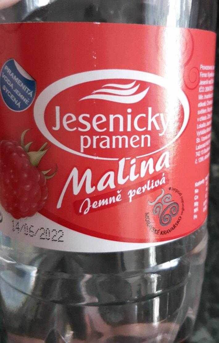 Fotografie - Jesenický pramen Malina