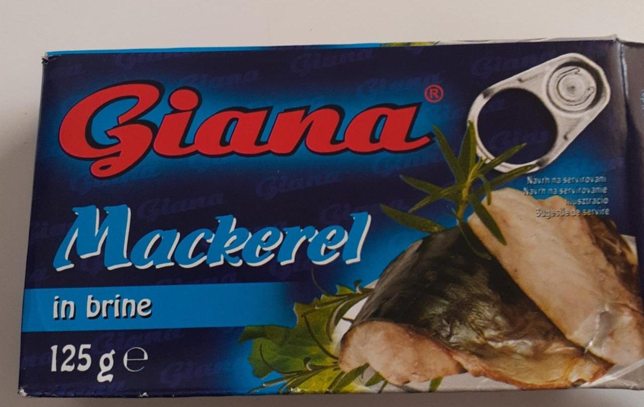 Fotografie - Mackerel in brine Giana