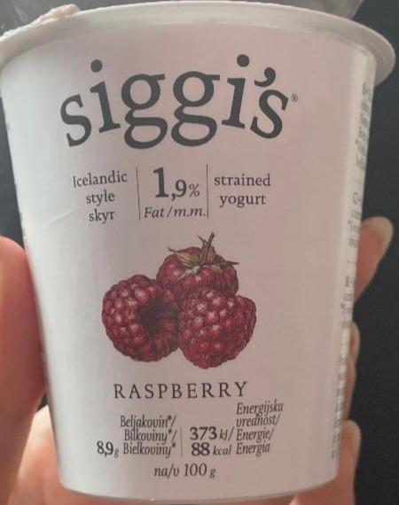 Fotografie - Icelandic style skyr 1,9% fat Malina Siggi's