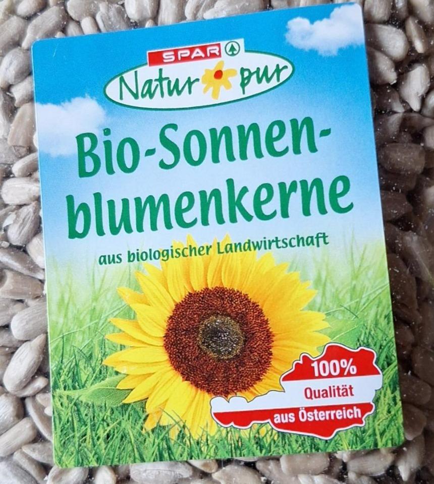 Fotografie - Bio-Sonnen-blumenkerne Spar Natur pur