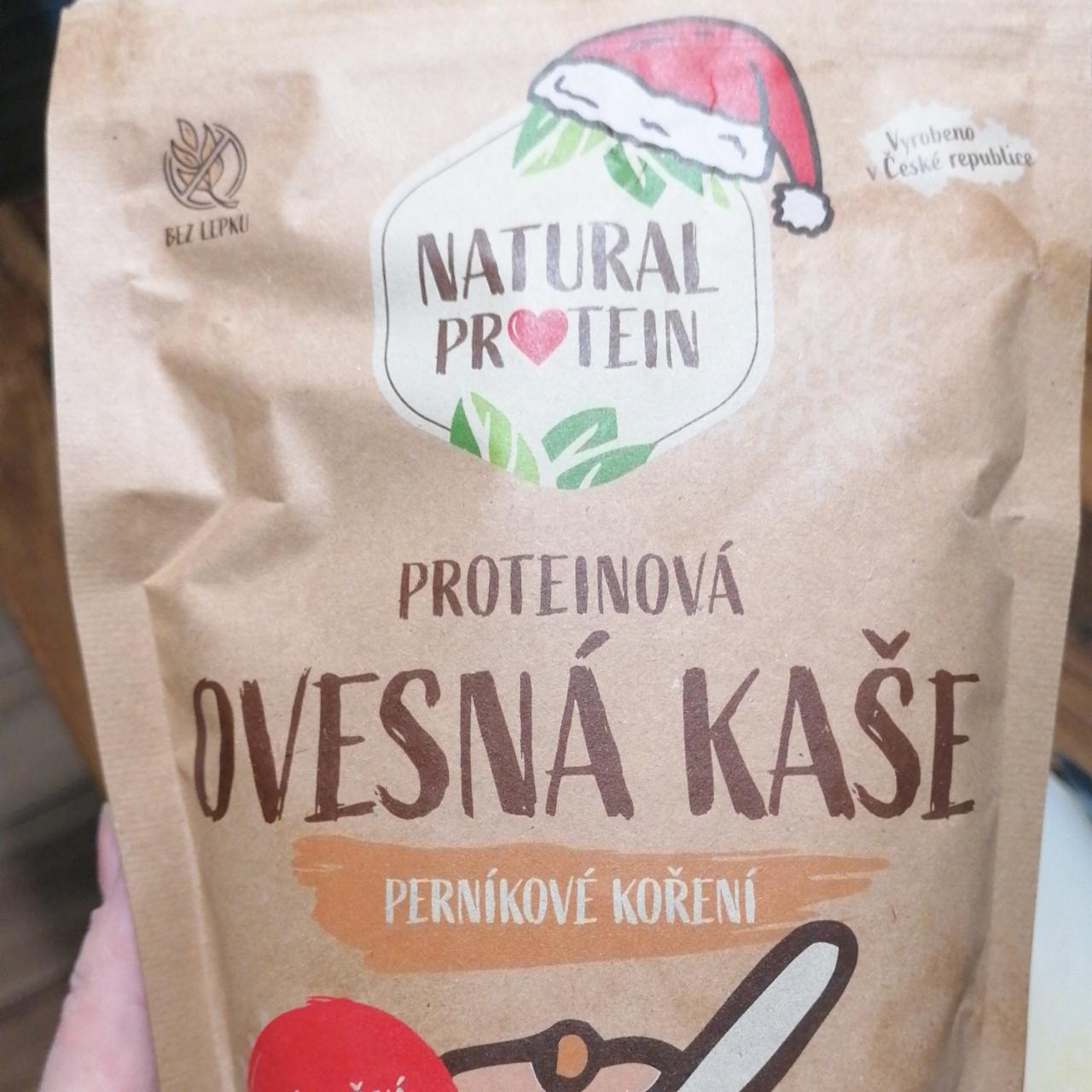 Fotografie - Proteinová ovesná kaše Perníkové koření Natural protein