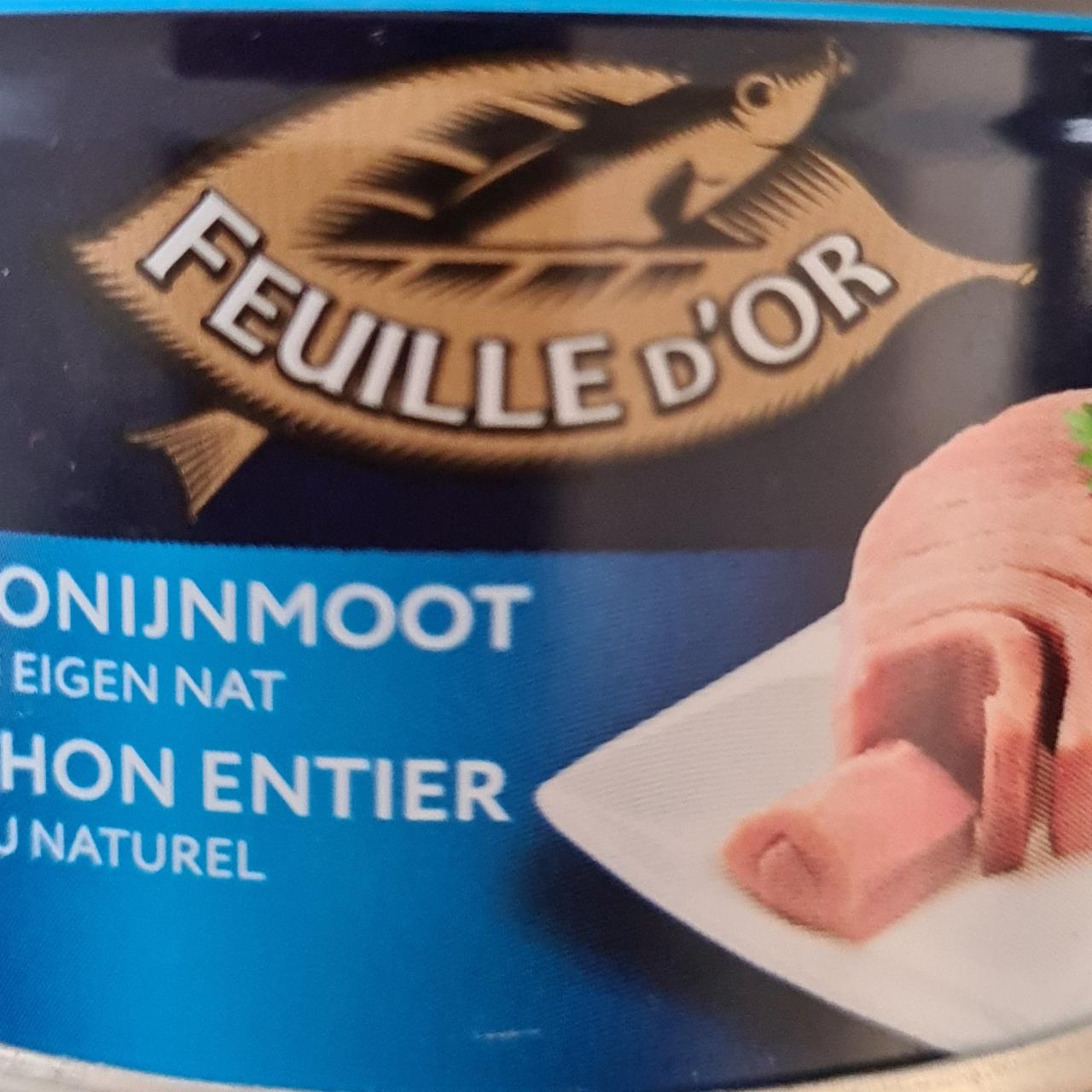 Fotografie - Tonijnmoot in Eigen Nat Feuille d'Or