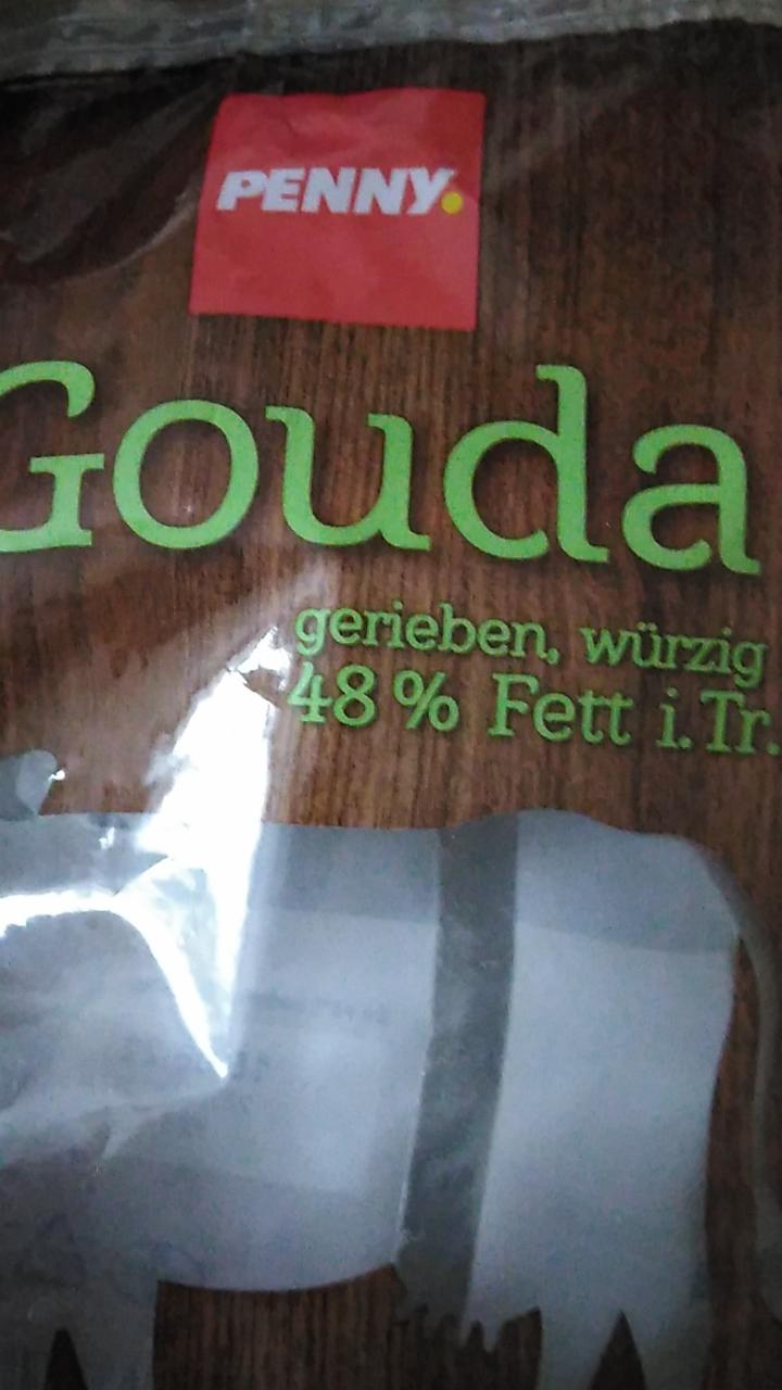 Fotografie - Gouda gerieben 48% Fett Penny