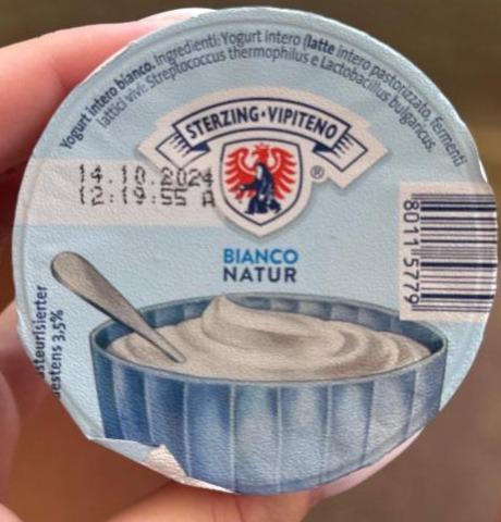 Fotografie - yogurt intero bianco vollmilch natur Sterzing Vipiteno