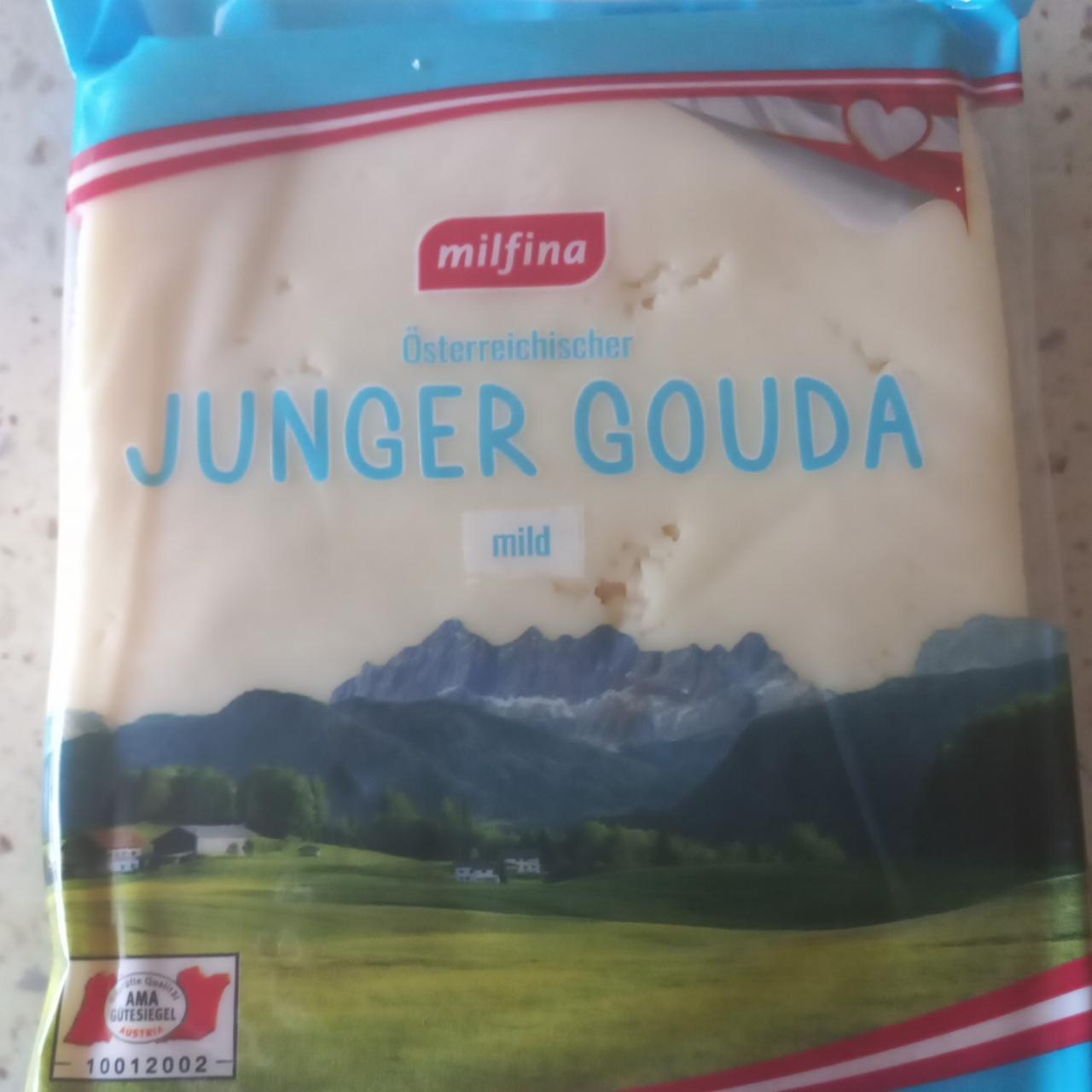 Fotografie - Junger gouda mild Milfina