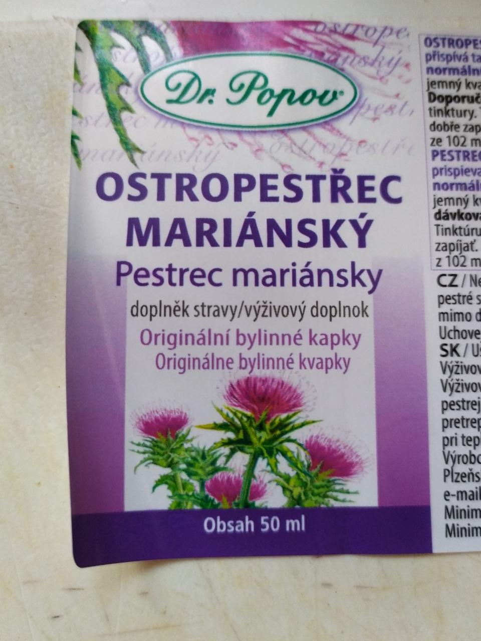 Fotografie - ostropestřec mariánský Dr.Popov