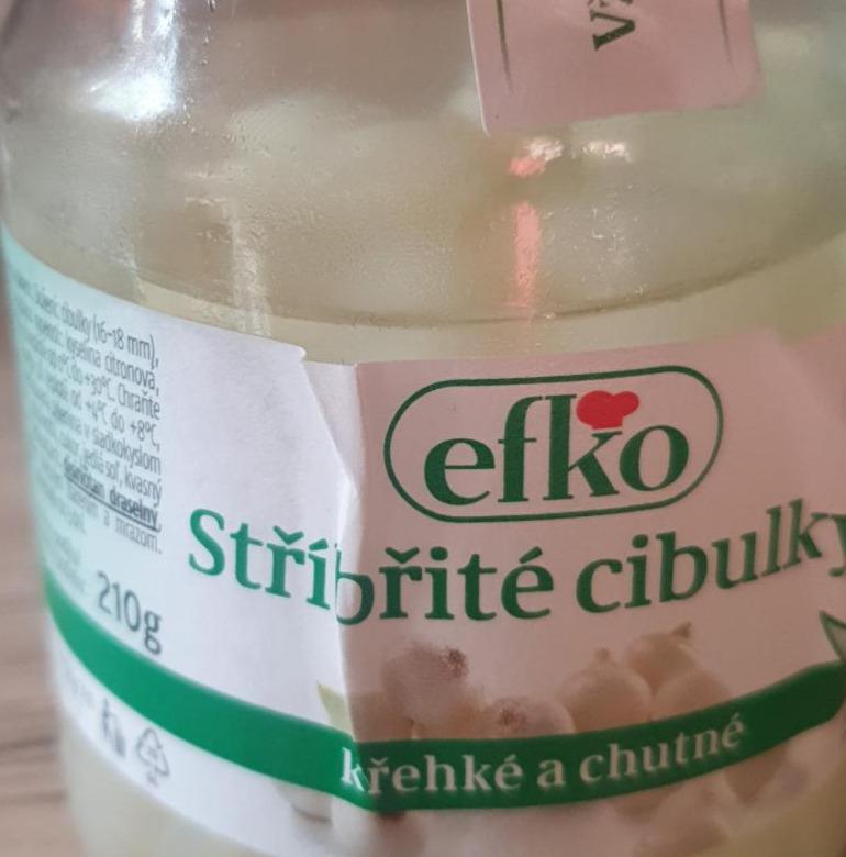 Fotografie - Stříbřité cibulky Efko