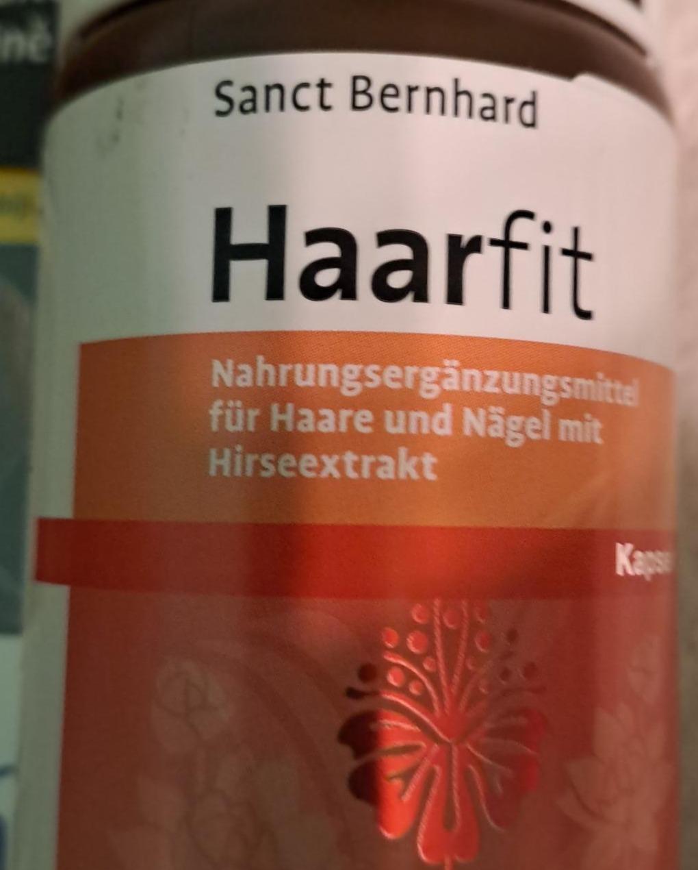 Fotografie - Haarfit Sanct Bernhard