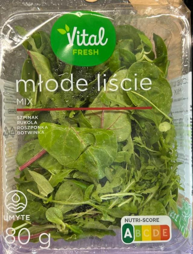 Fotografie - Młode liście mix Vital fresh