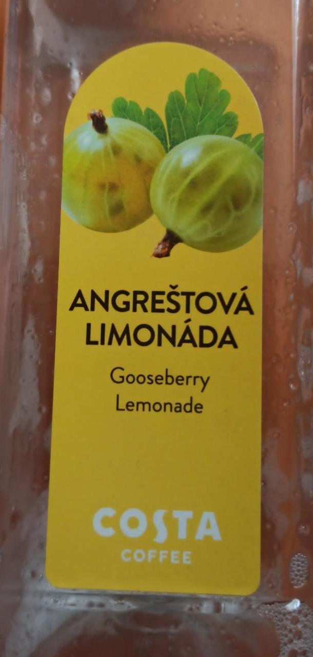 Fotografie - Angreštová limonáda Costa Coffee