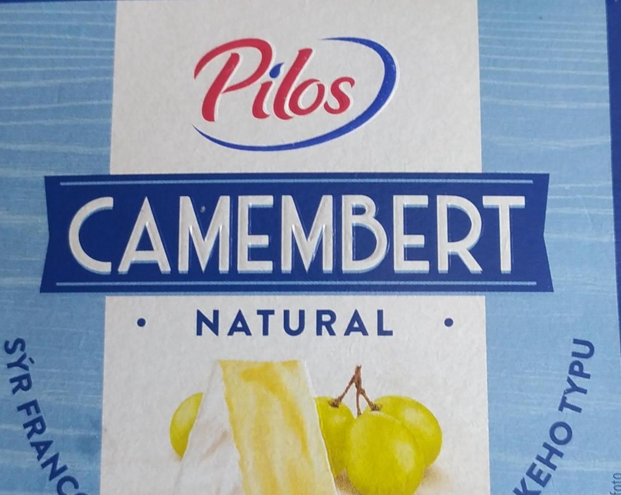 Fotografie - Camembert Natural Pilos