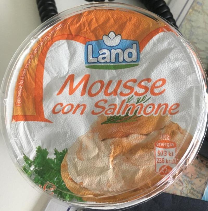 Fotografie - Mousse con Salmone Land