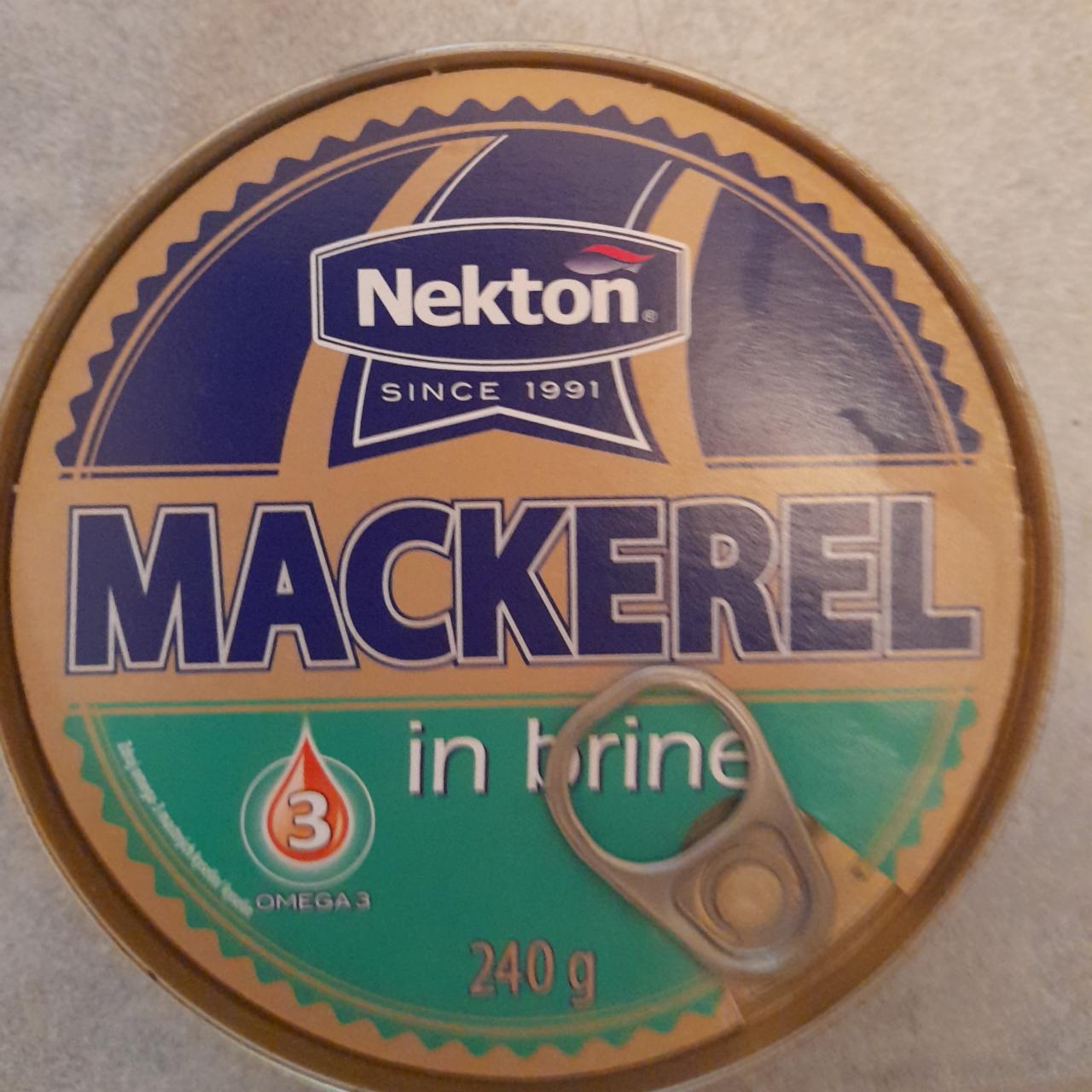 Fotografie - Mackerel in brine Nekton