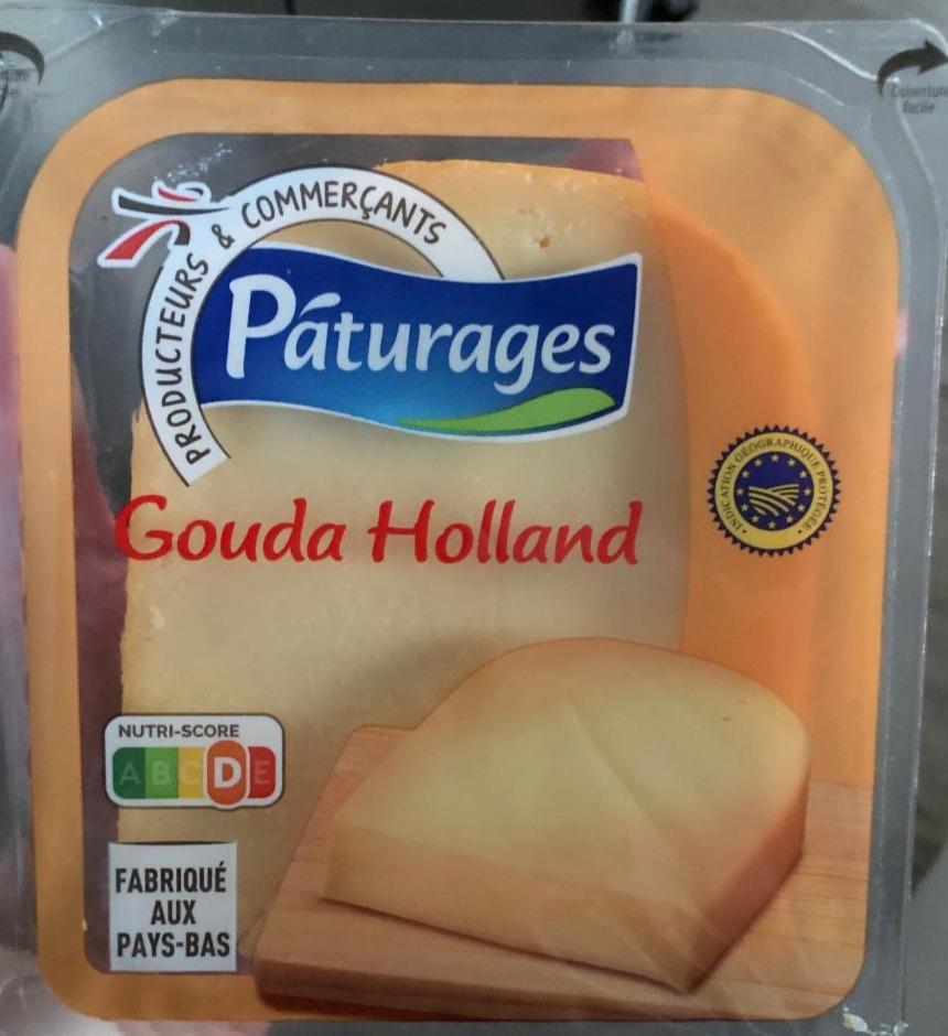 Fotografie - Gouda Holland Pâturages