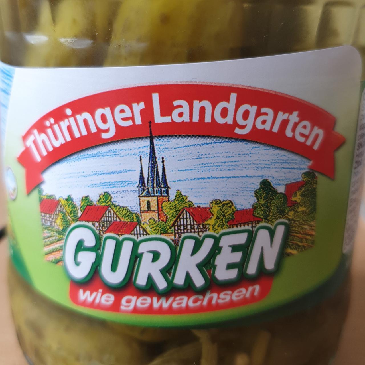 Fotografie - Gurken Thüringer Landgarten