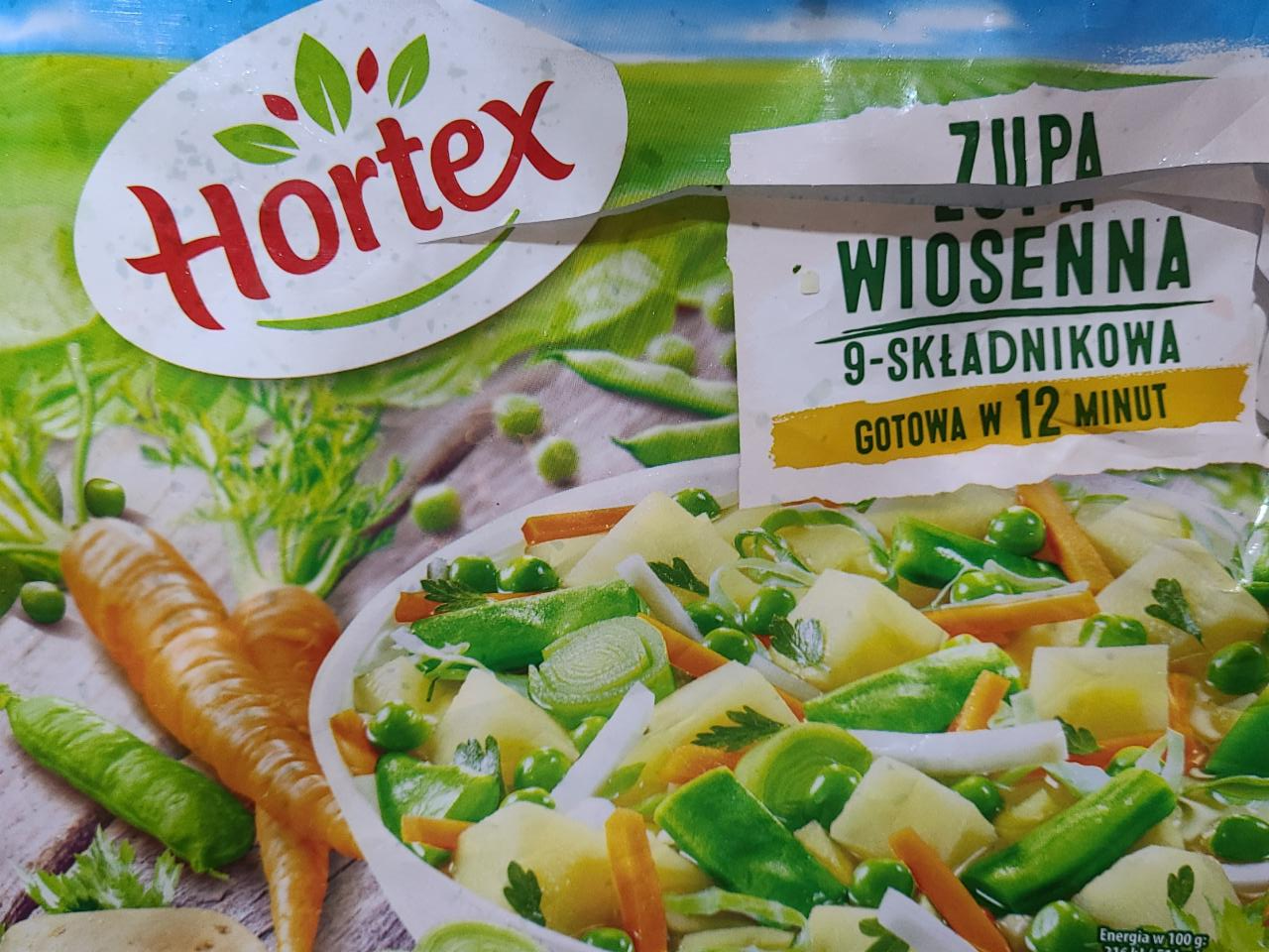 Fotografie - Zupa wiosenna 9-składnikowa Hortex