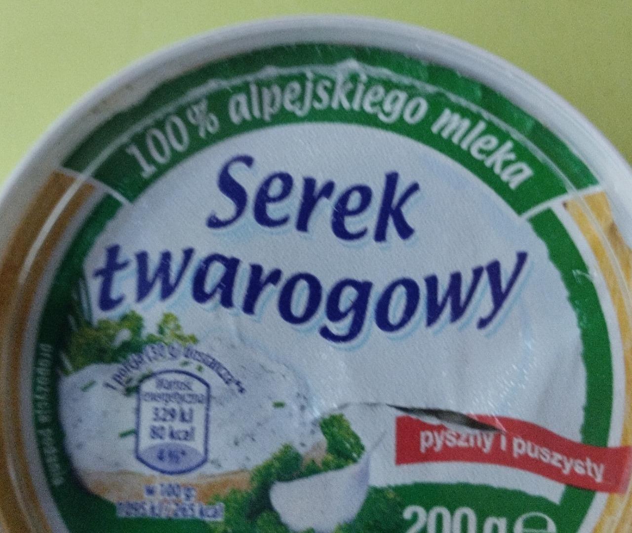 Fotografie - Serek twarogowy z ziołami