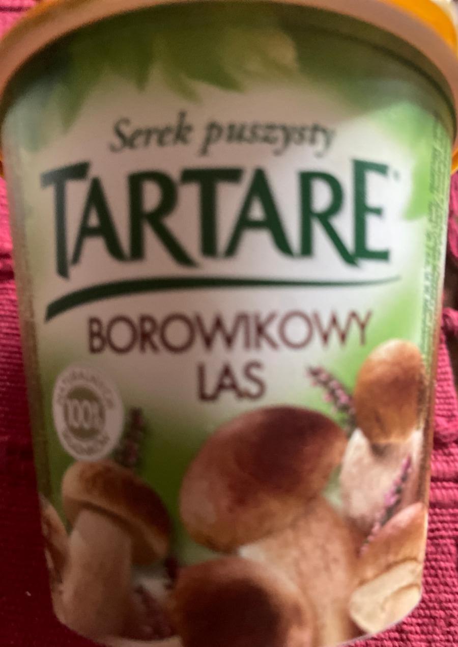 Fotografie - Borowikowy Las Tartare