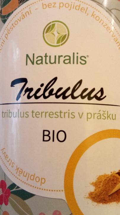 Fotografie - tribulus, kotvičník zemní