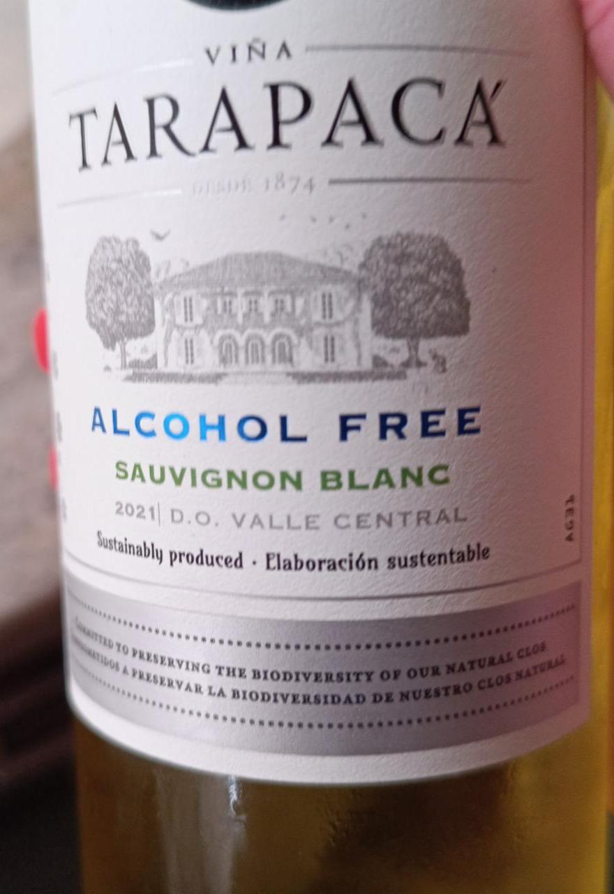 Fotografie - Sauvignon Blanc Alcohol Free Viňa Tarapacá