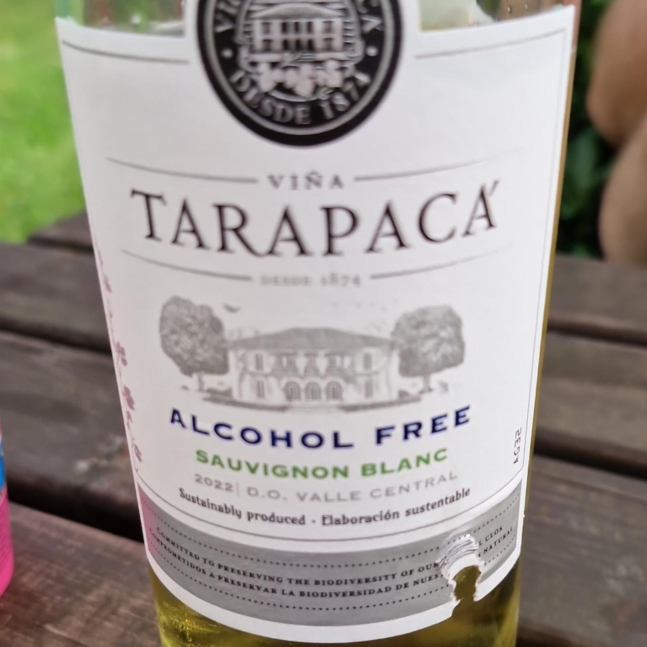 Fotografie - Sauvignon Blanc Alcohol Free Viňa Tarapacá