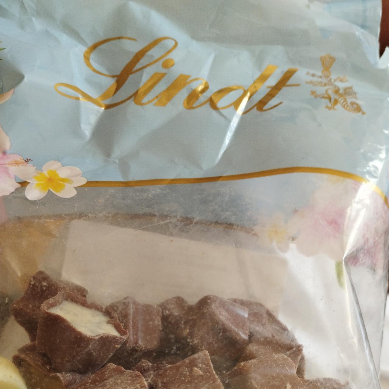 Fotografie - Lindt Sommerpralinen