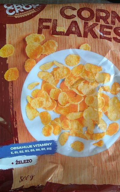 Fotografie - Corn Flakes Crip Crop