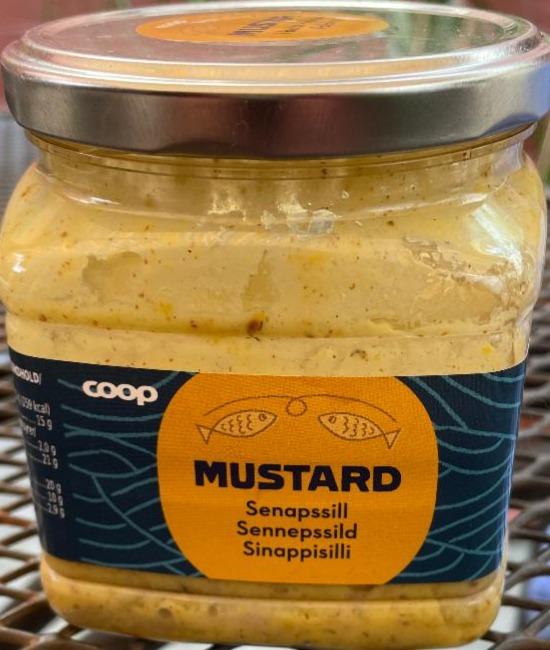 Fotografie - Mustard senapssill Coop