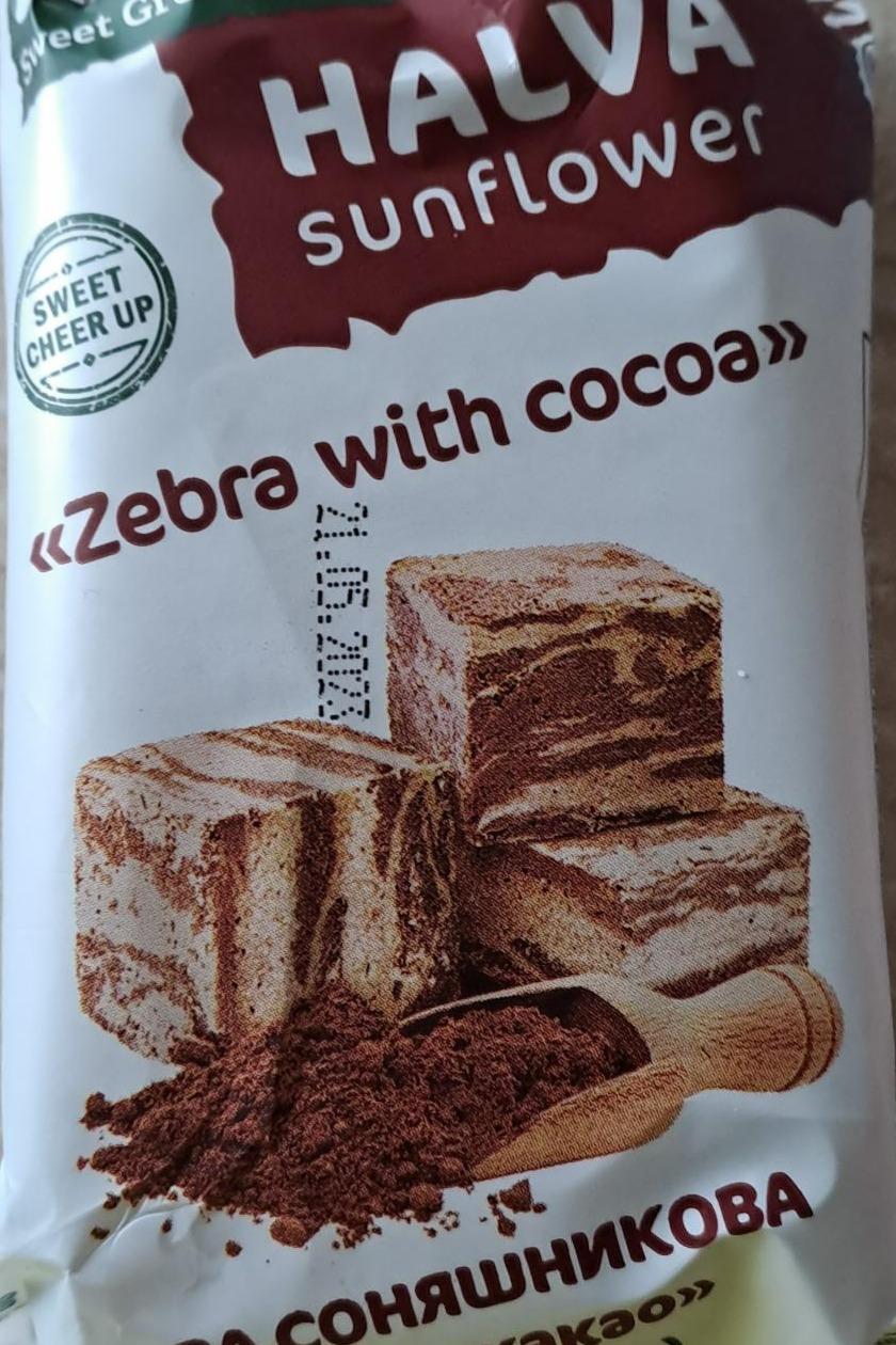 Fotografie - Halva sunflower Zebra with cocoa Norsu